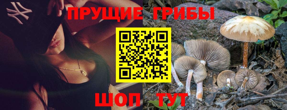 Армавир  Псилоцибиновые грибы MAGIC MUSHROOMS  Вход с VPN 
